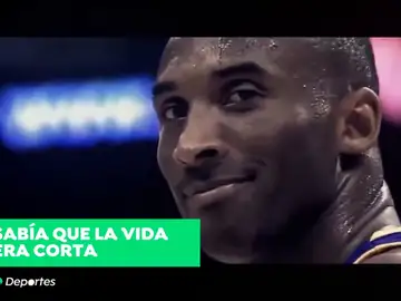 CLIP DEPORTES CLIP DEPORTES