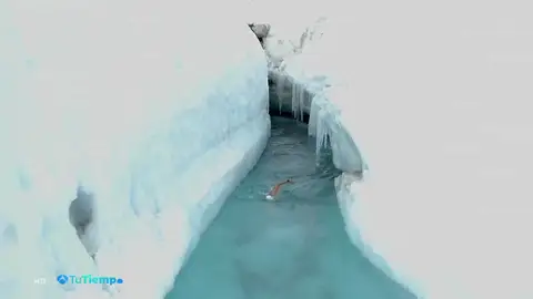 Atraviesa un glaciar a nado Atraviesa un glaciar a nado