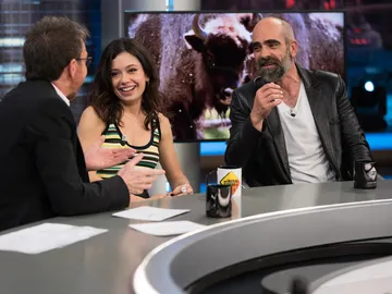 ¿Se va a retirar Luis Tosar al rural de Lugo para criar bisontes? ¿Se va a retirar Luis Tosar al rural de Lugo para criar bisontes?