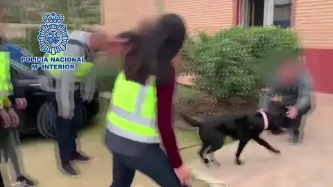 El emotivo reencuentro de la perra Pocahontas con los miembros de la Fundación Bocalán El emotivo reencuentro de la perra Pocahontas con los miembros de la Fundación Bocalán