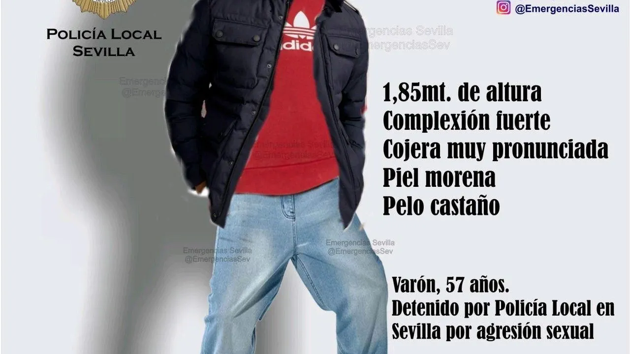 Agresi&oacute;n Sexual