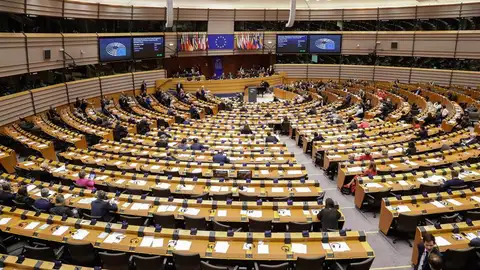 El Parlamento Europeo El Parlamento Europeo