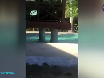 Un terremoto de 7,7 grados de magnitud sacude el Caribe Un terremoto de 7,7 grados de magnitud sacude el Caribe