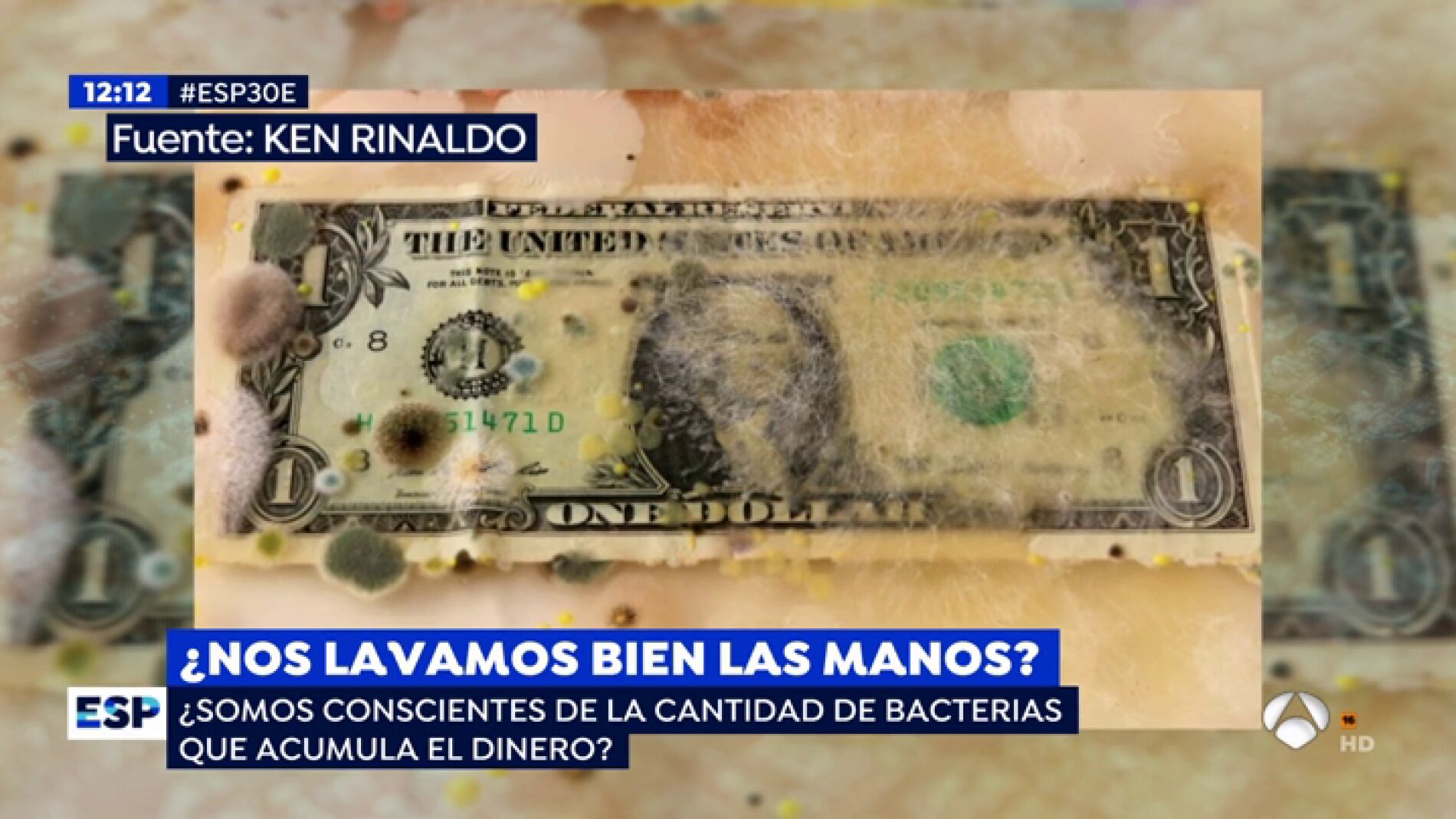 Bacterias en los billetes