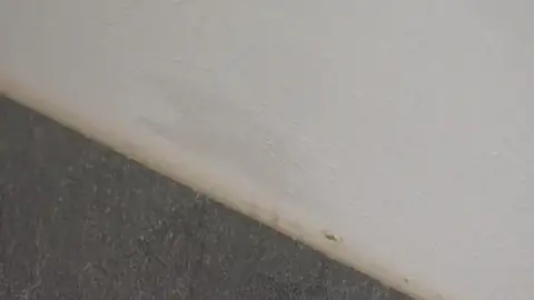Cómo eliminar las manchas de grasa de la pared de casa por menos de 1€ Cómo eliminar las manchas de grasa de la pared de casa por menos de 1€
