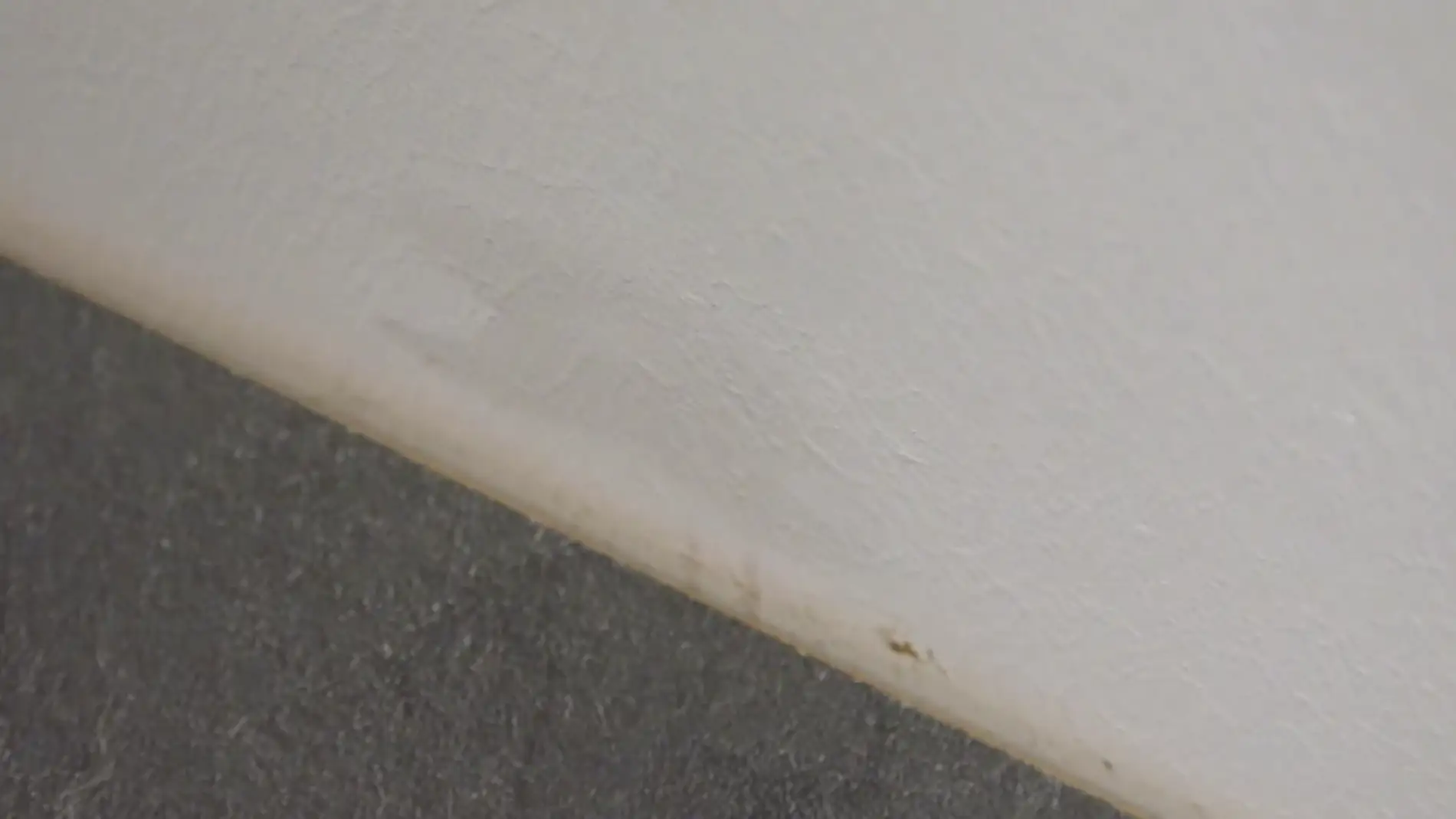 Cómo eliminar las manchas de grasa de la pared de casa por menos de 1€