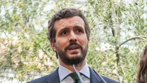 PP y Vox denuncian a Ábalos ante la Fiscalía PP y Vox denuncian a Ábalos ante la Fiscalía
