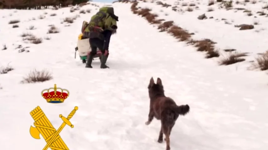 Rescatado tras estar tres meses atrapado por la nieve en Almería Rescatado tras estar tres meses atrapado por la nieve en Almería