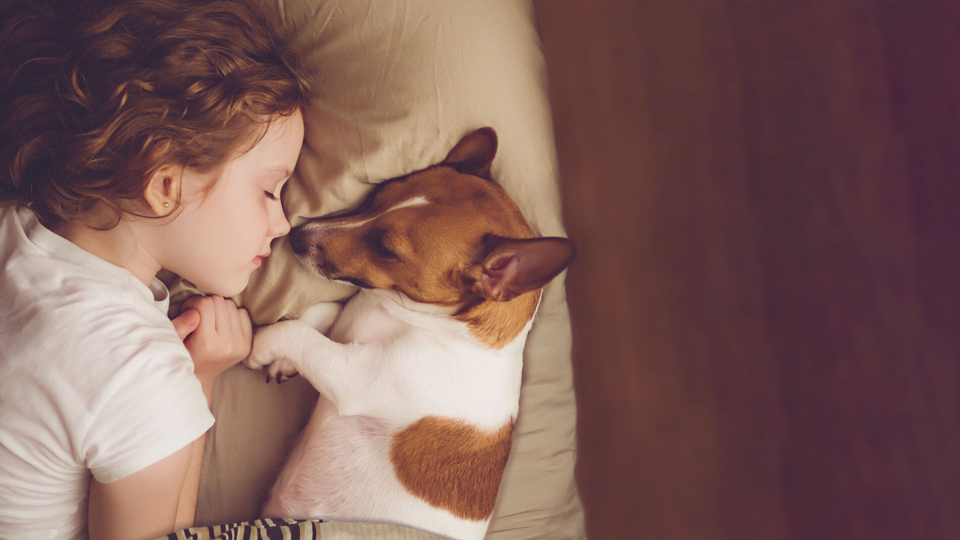 Dormir con mascotas