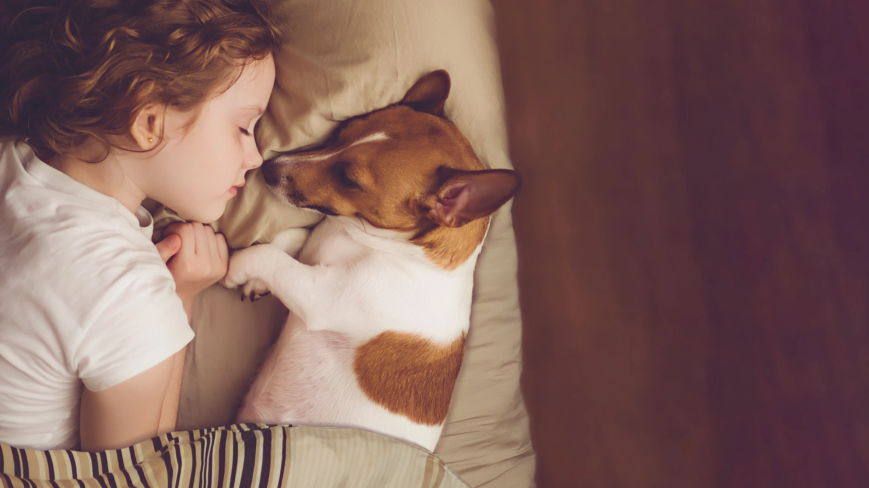 Dormir con mascotas Dormir con mascotas