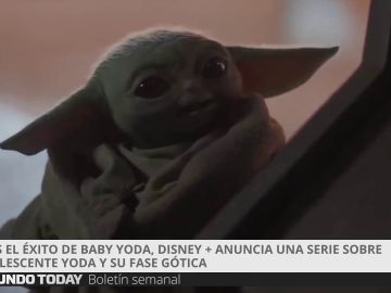 Baby Yoda Baby Yoda
