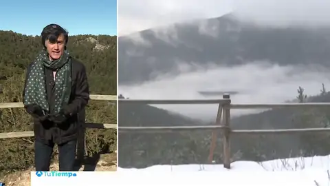 REPORToni REPORToni