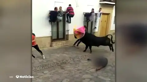 cogida cogida