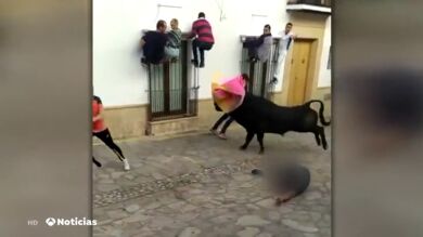 Espectacular cogida de un toro a un hombre en las fiestas de Benaocaz, en Cádiz