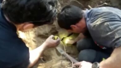 Rescatan a una perra que quedó atrapada en una madriguera en Majadahonda