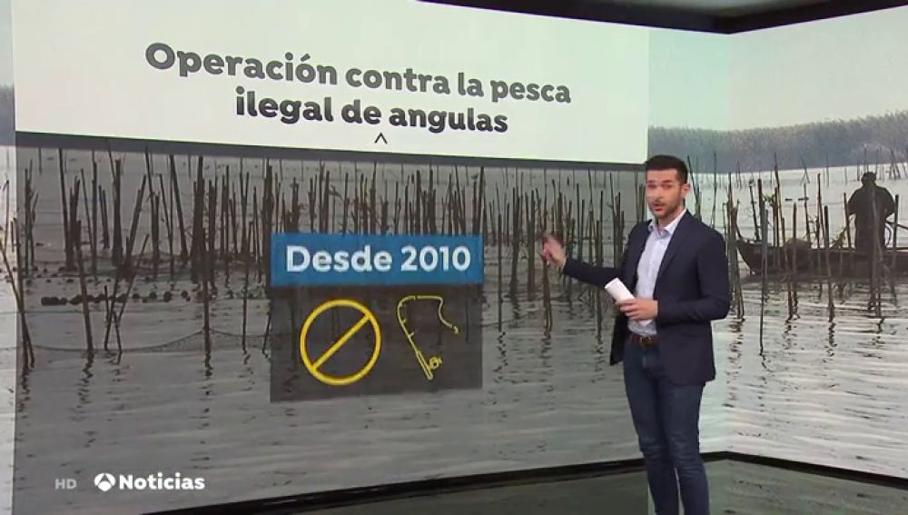 La Guardia civil requisa un total de 54 anguleras ilegales en el río Guadalquivir
