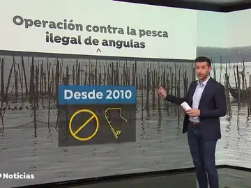 La Guardia civil requisa un total de 54 anguleras ilegales en el río Guadalquivir La Guardia civil requisa un total de 54 anguleras ilegales en el río Guadalquivir