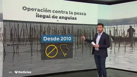 La Guardia civil requisa un total de 54 anguleras ilegales en el río Guadalquivir La Guardia civil requisa un total de 54 anguleras ilegales en el río Guadalquivir