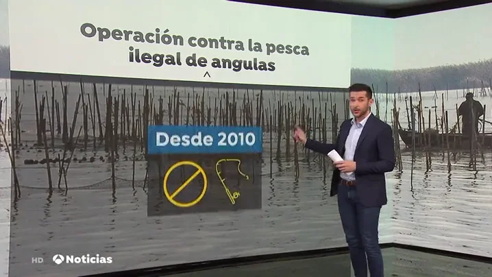 La Guardia civil requisa un total de 54 anguleras ilegales en el río Guadalquivir La Guardia civil requisa un total de 54 anguleras ilegales en el río Guadalquivir