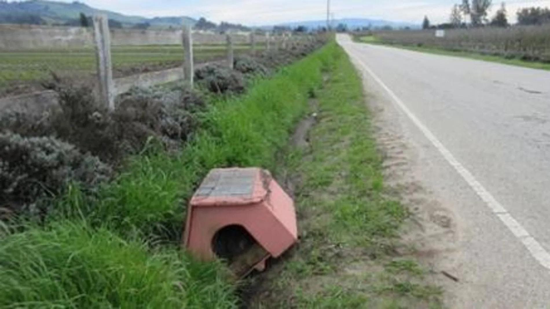 Una mujer encuentra una casita al lado de la carretera Una mujer encuentra una casita al lado de la carretera