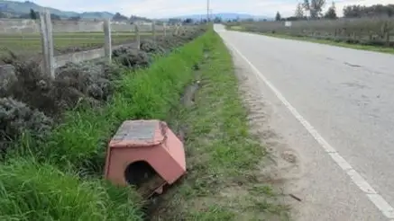Una mujer encuentra una casita al lado de la carretera