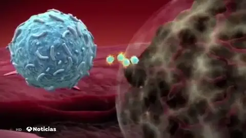cancer cancer