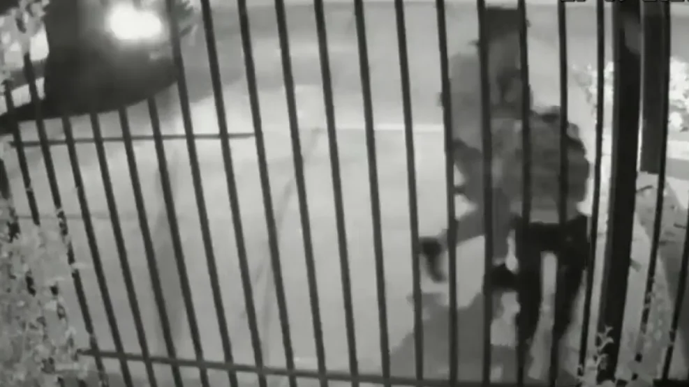 Varios carabineros propinan una paliza a un joven Varios carabineros propinan una paliza a un joven