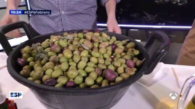 Hacemos el recorrido de las aceitunas desde que caen del árbol hasta que se distribuyen en los supermercados