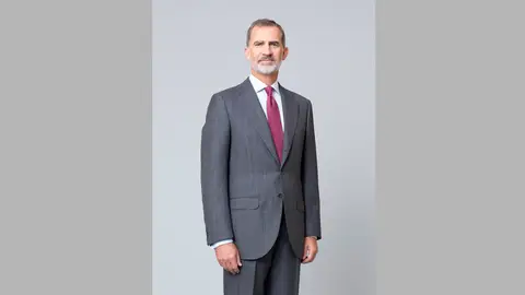 El rey Felipe VI El rey Felipe VI