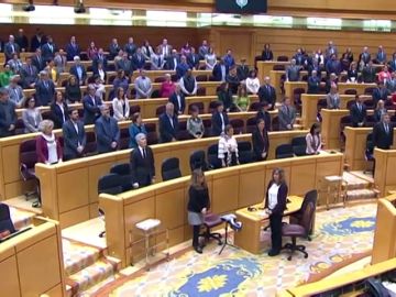 Minuto de silencio en el Senado por la mujeres asesinadas por violencia de género