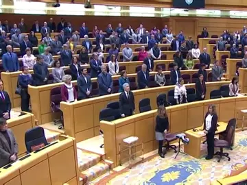 Minuto de silencio en el Senado por la mujeres asesinadas por violencia de género Minuto de silencio en el Senado por la mujeres asesinadas por violencia de género