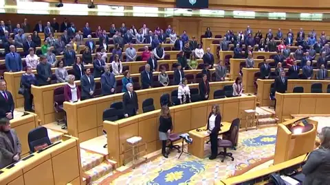Minuto de silencio en el Senado por la mujeres asesinadas por violencia de género Minuto de silencio en el Senado por la mujeres asesinadas por violencia de género