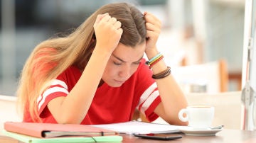 Estudiante Estudiante