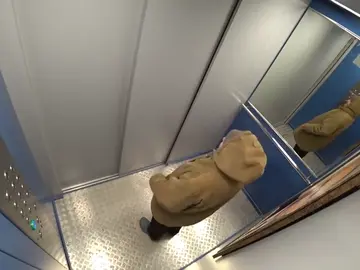 Cuelga un retrato de Putin en un ascensor y graba las reacciones de los vecinos Cuelga un retrato de Putin en un ascensor y graba las reacciones de los vecinos