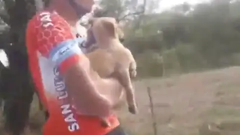 Varios ciclistas salvan la vida a seis cachorros abandonados a punto de morir: "Esa persona no tiene corazón" Varios ciclistas salvan la vida a seis cachorros abandonados a punto de morir: "Esa persona no tiene corazón"