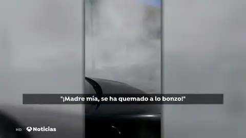 BONZO BONZO