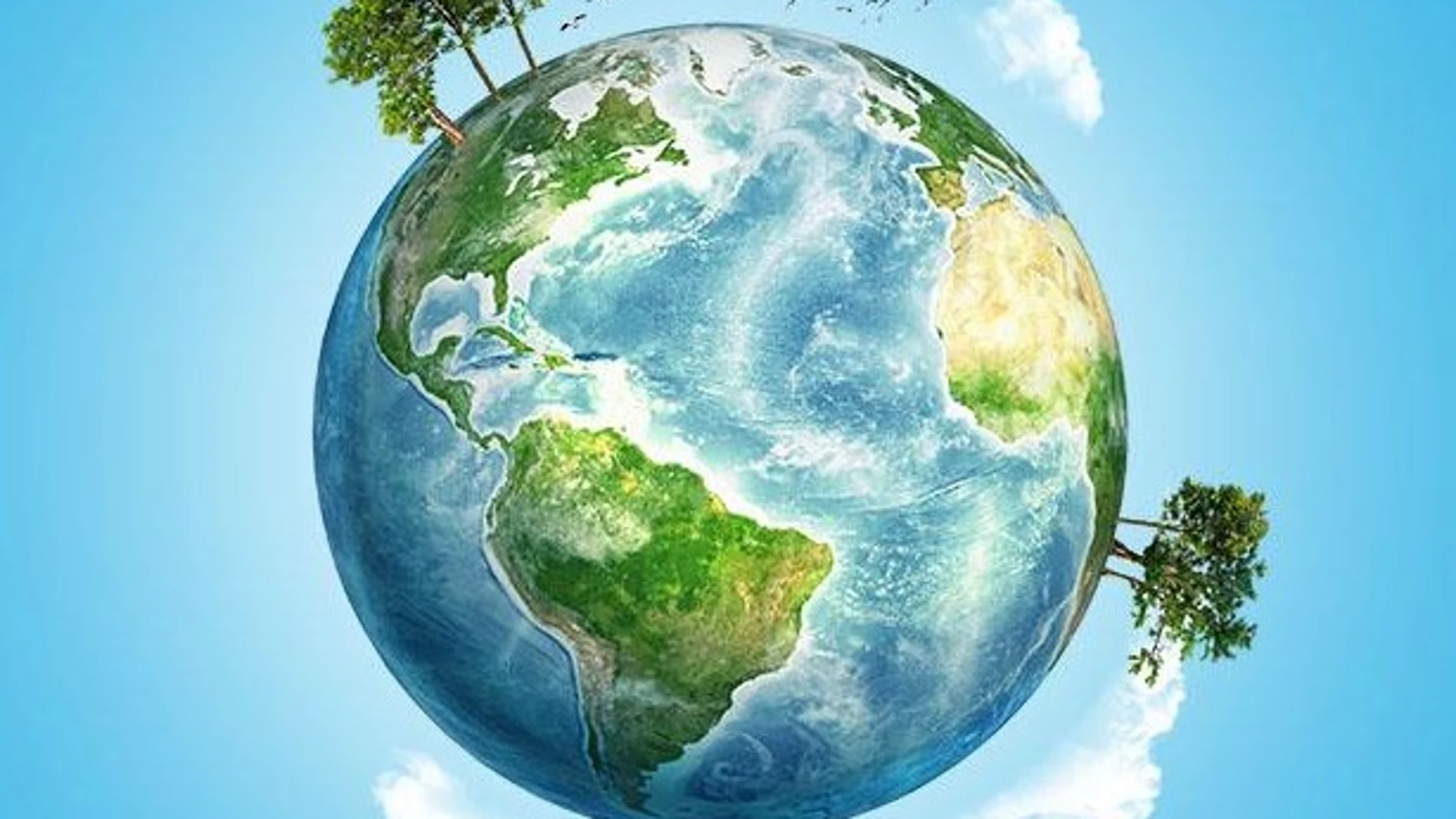 Día Mundial de la Naturaleza 2020: ¿Por qué se celebra el 3 de marzo? Día Mundial de la Naturaleza 2020: ¿Por qué se celebra el 3 de marzo?