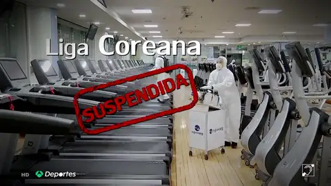 CLIP DEPORTES CLIP DEPORTES