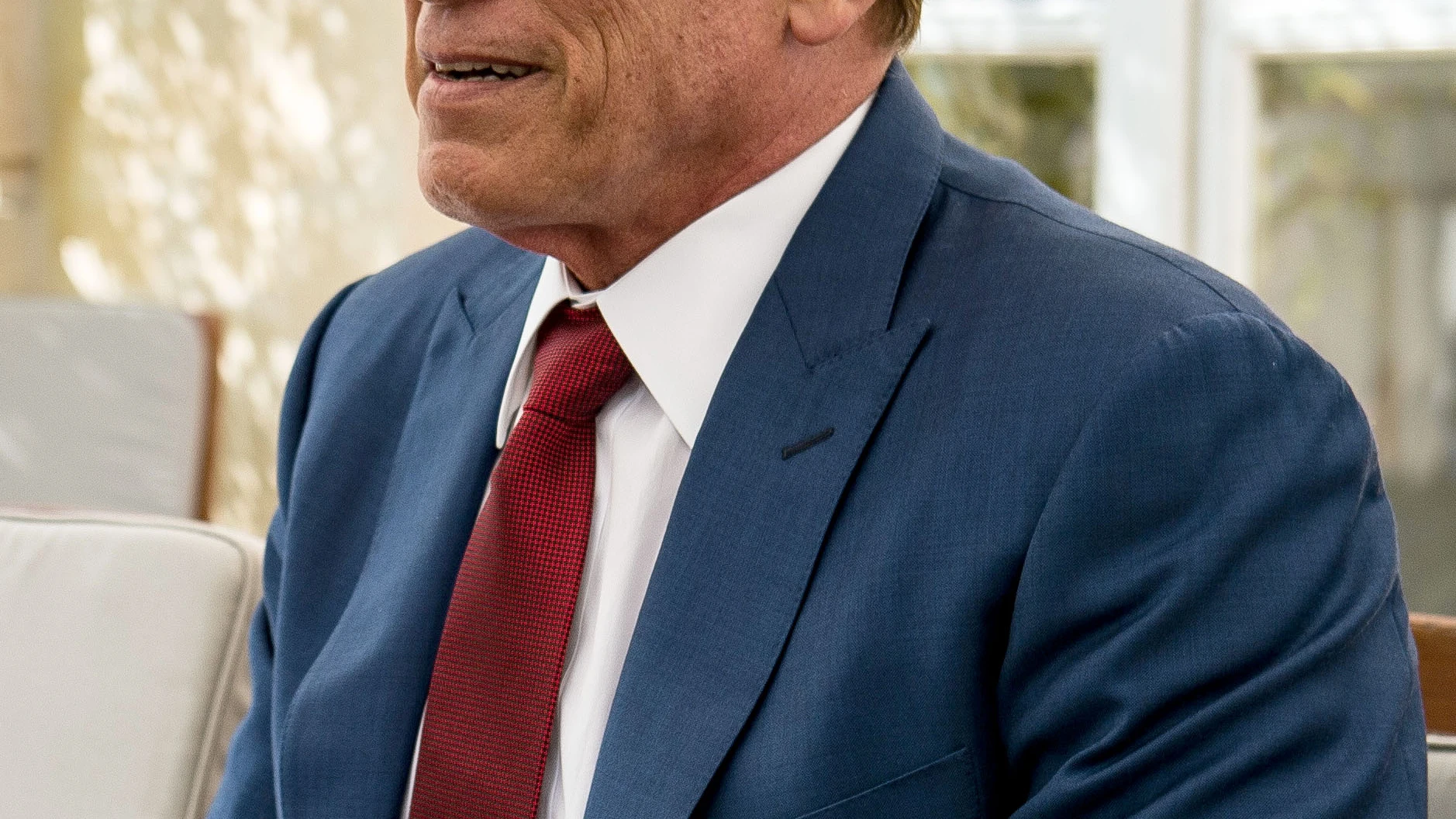 Arnold Schwarzenegger Arnold Schwarzenegger
