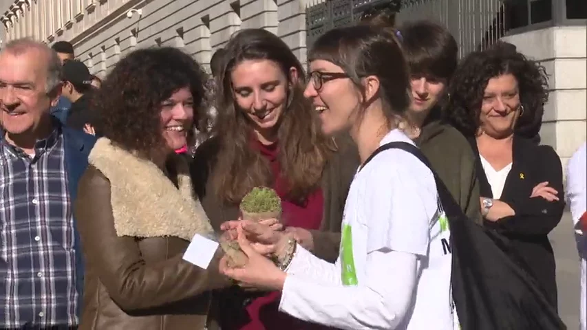 Reparto de cogollos de cannabis en el Congreso