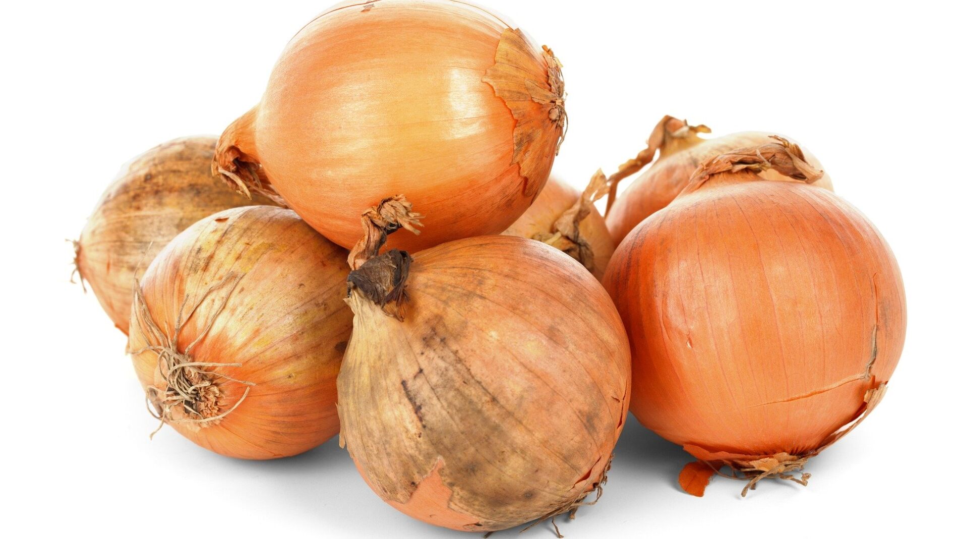 Cebollas