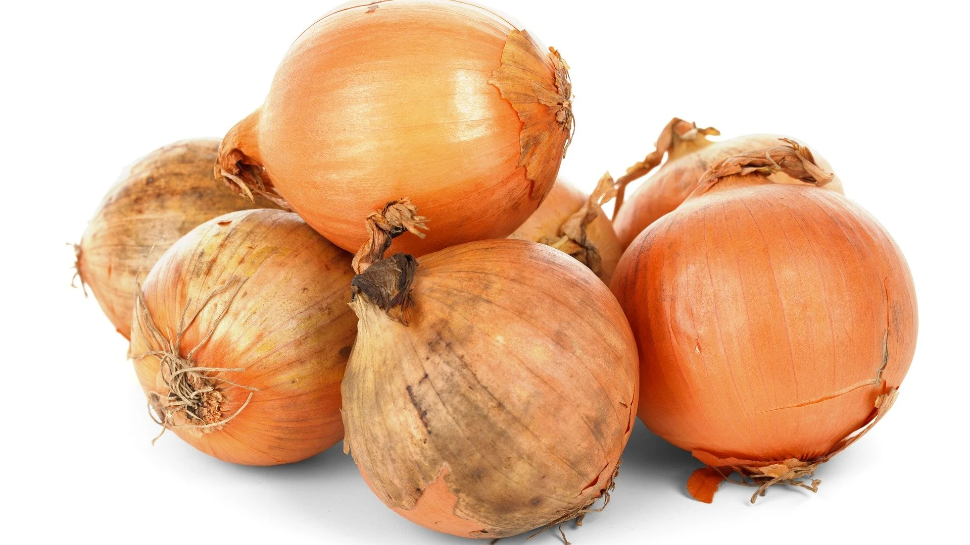 Cebollas