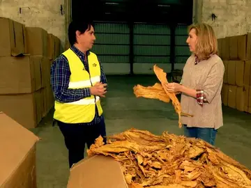 Suben los impuestos del tabaco Suben los impuestos del tabaco