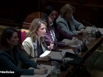 NUEVA CESADA NUEVA CESADA