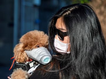 Una mujer pasea a su perro con mascarilla en Guangzhou (China)