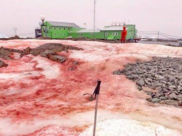 Hielo rojo de la Antártida