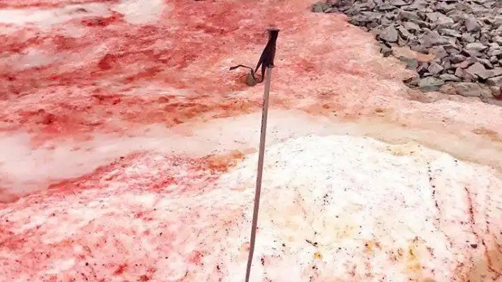 Hielo rojo de la Ant&aacute;rtida