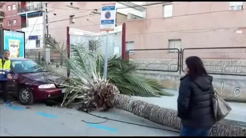 Una nueva borrasca pone en alerta a España Una nueva borrasca pone en alerta a España
