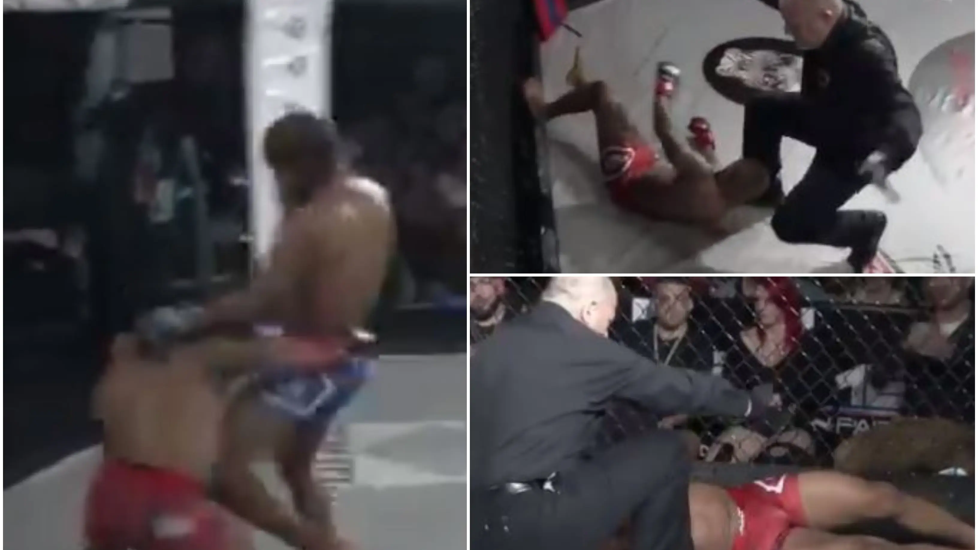 El brutal KO durante un combate de MMA El brutal KO durante un combate de MMA