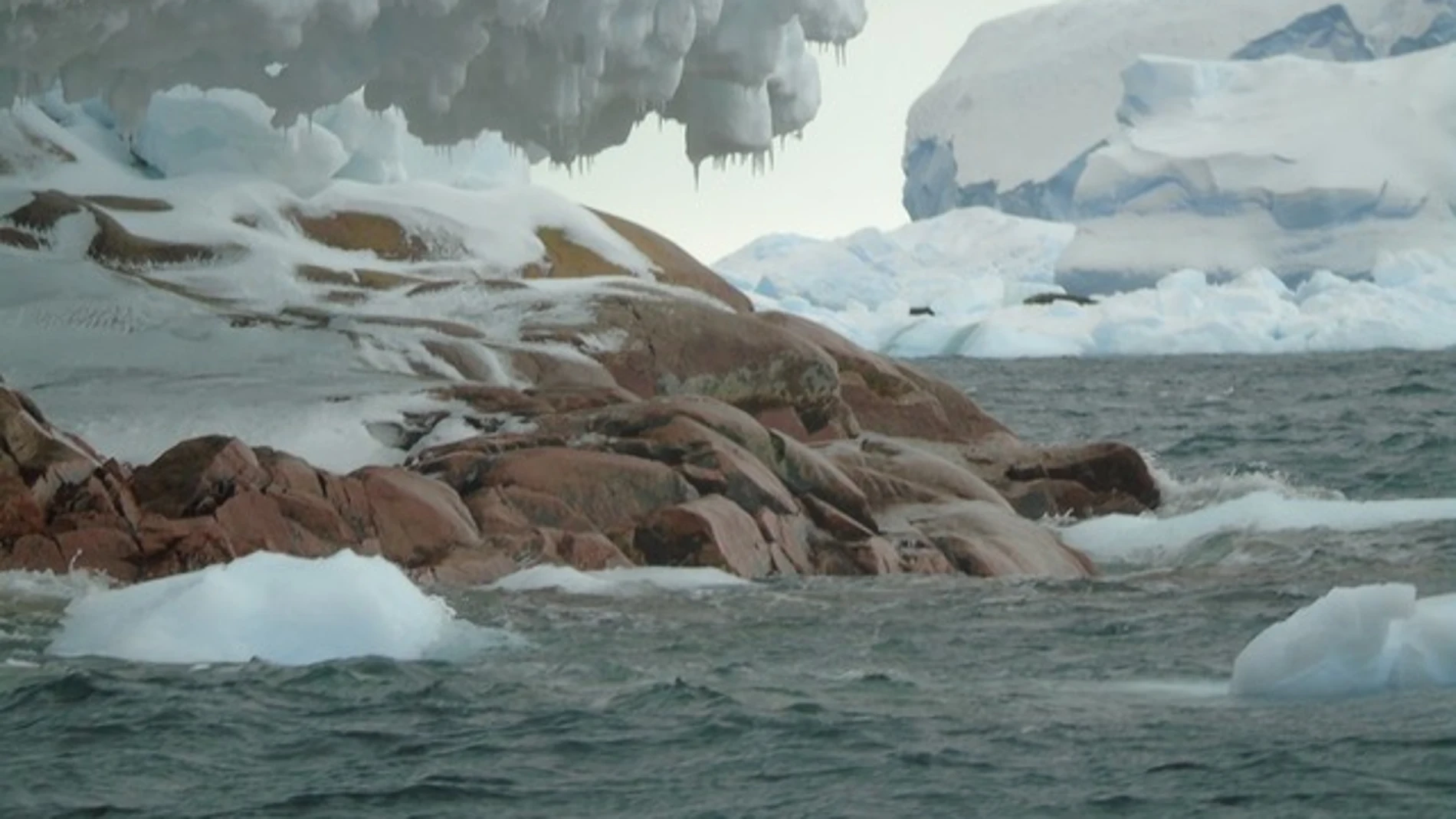 Descubren una isla oculta en la Antártida Descubren una isla oculta en la Antártida